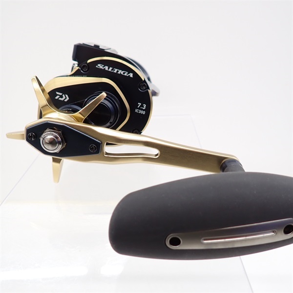 ２１ソルティガＩＣ３００ＨＬ－ＳＪ